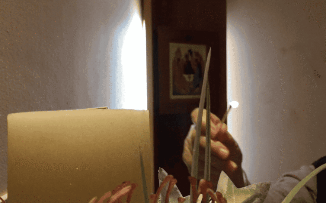 VideosViaje al interior