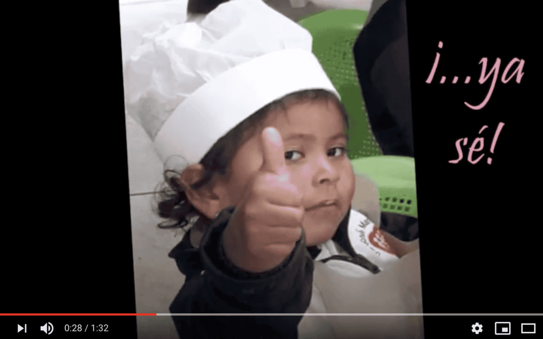 VideosNoticias del Colegio Jose Mª Velaz en El Camal