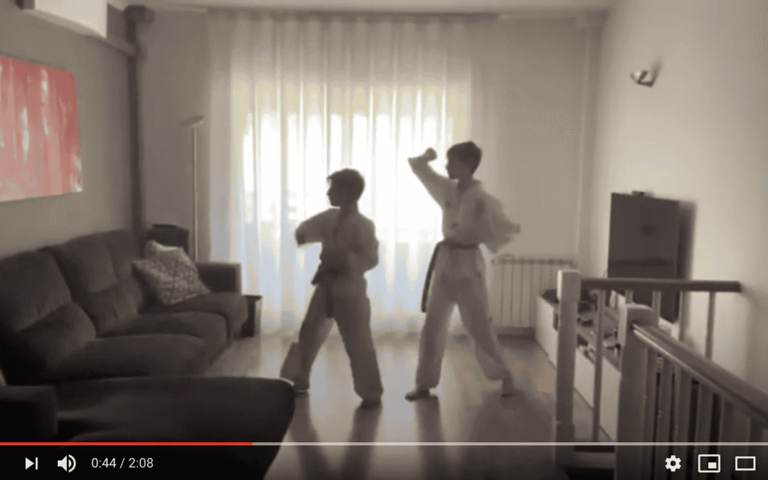 VideosTambién taekwondo #encasa