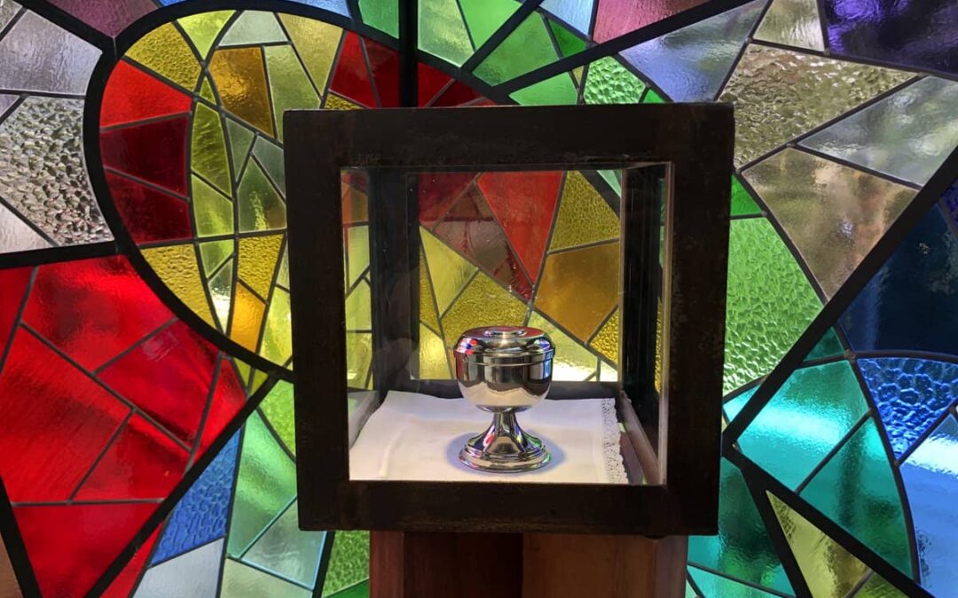 VisitaVisita Canónica en la comunidad de la Sagrada Familia de Copacabana (Colombia)